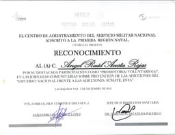 Reconocimiento de promotor voluntario en prevención de adicciones